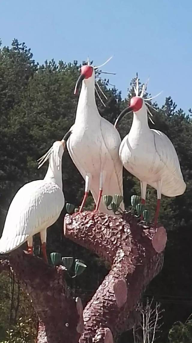 阳景区世界围棋争霸赛举行,中国围棋第一人柯