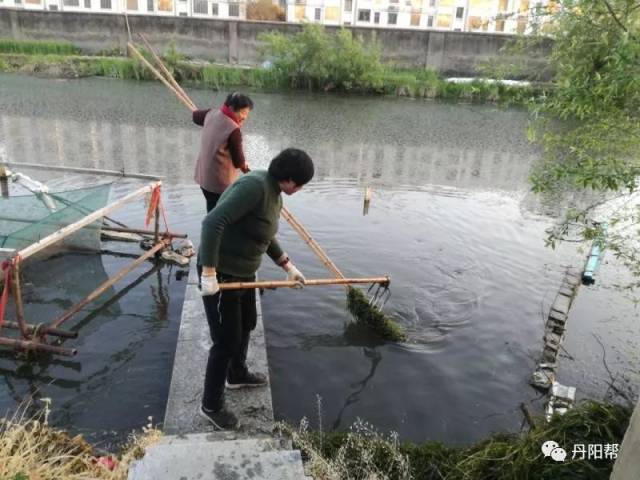 丹阳保洁