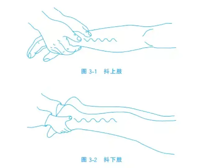 起来,学会了可以给自己和家人按摩放松哦~   常见的按摩手法 > 抖法
