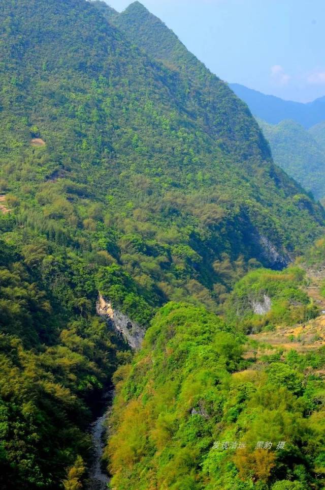 鲜为人知的阳山天南大峡谷,发现巨型金色莲花宝盆!