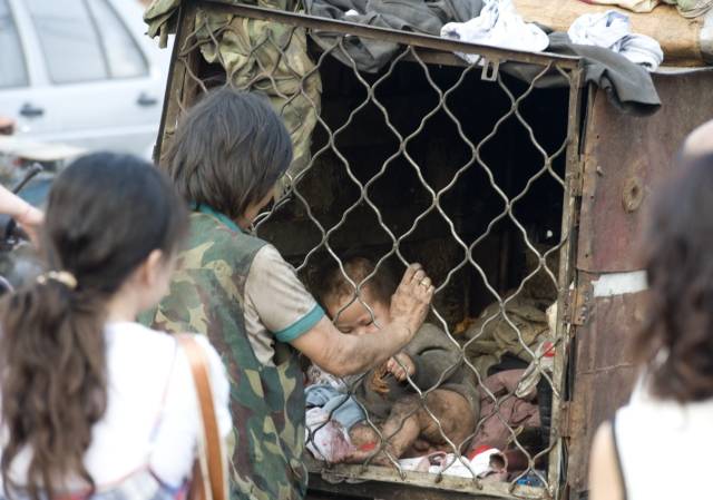 宝宝跟狗同锁在笼子里,1家8口蹬三轮车流浪,网友说太心酸 _手机搜狐网