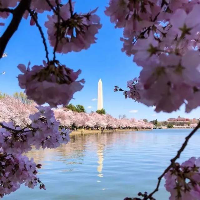 潮汐湖位于国家广场西南,波多马克河流经华盛顿特区,在这里的一片低洼