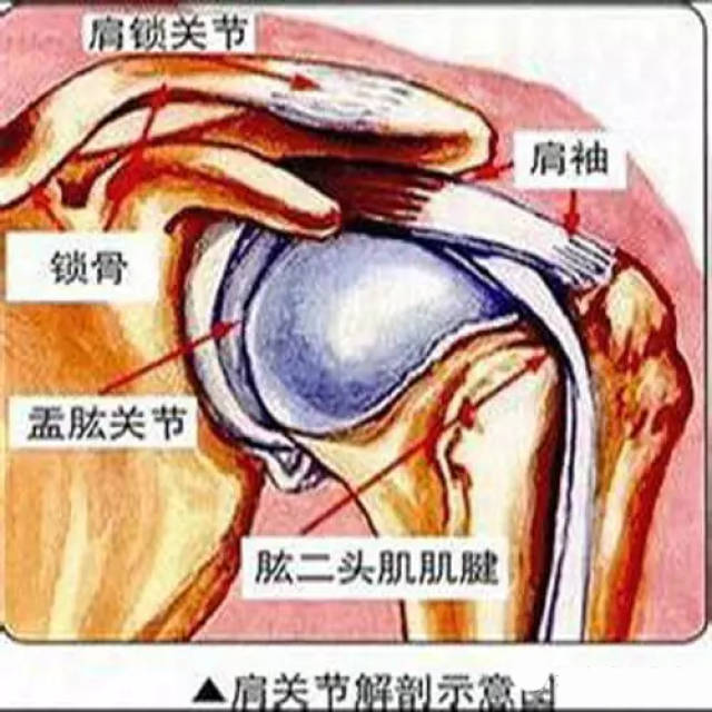 肩袖損傷