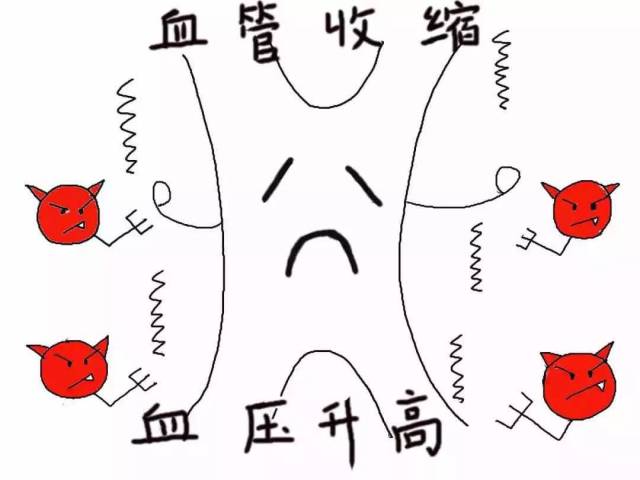 【画说降压药】贝那普利:一个华丽变身巧妙降血压