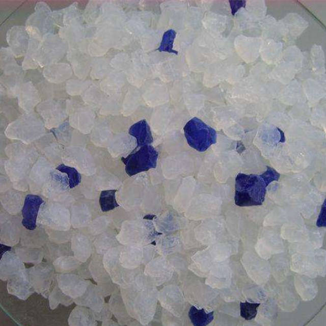 猫咪不会用猫砂怎么办,怎么教猫用猫砂