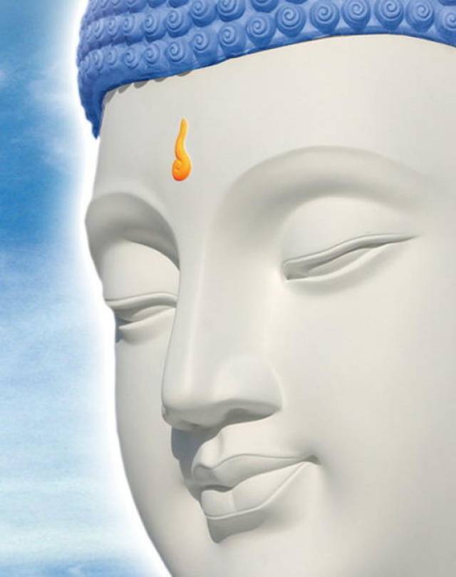 顶上有肉,隆起象髻形样的相. 2,眉间白毫相