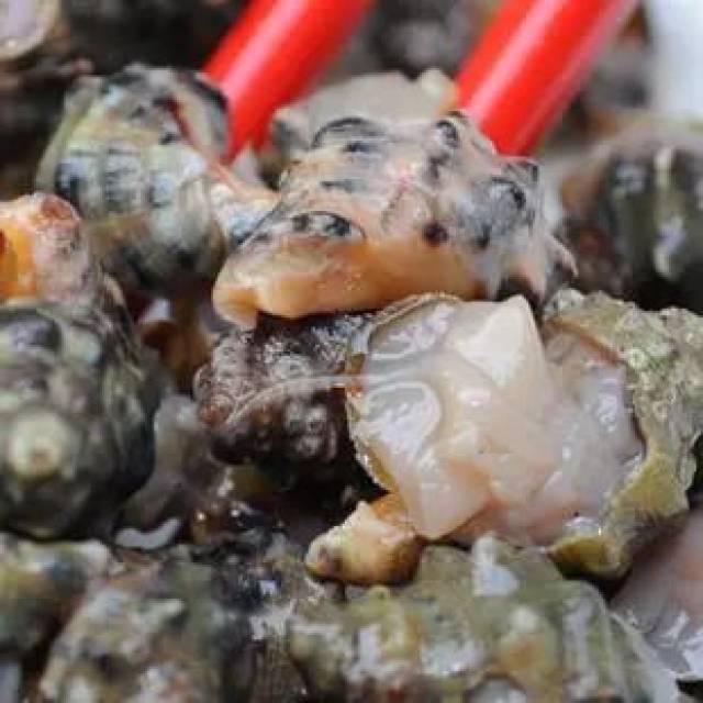 舟山人,这两种当季海鲜让你鲜到跳脚!此时不吃更待何时?