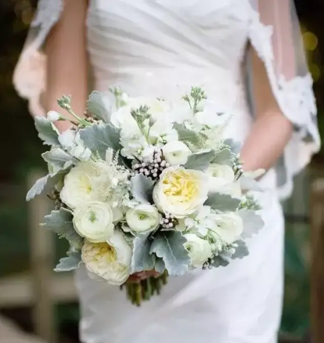 银叶菊花束展示   搭配上银叶菊 瞬间提升花束的高级感,既能文艺风