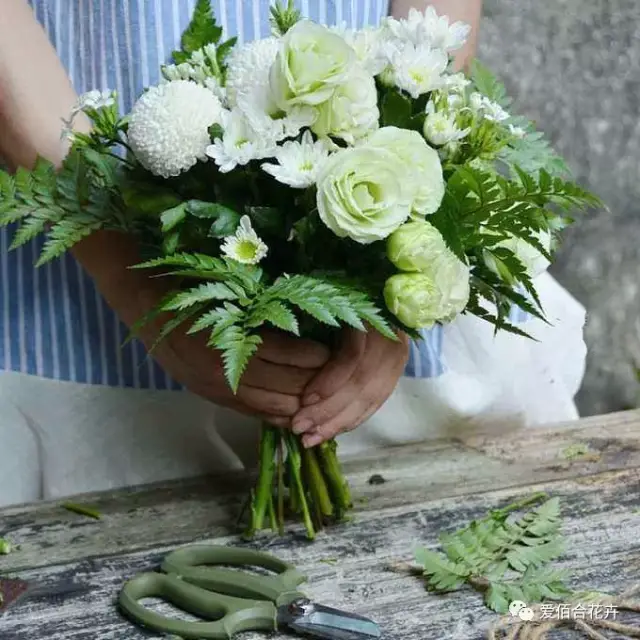 [ 尤加利叶花束展示 ]  外观:高山羊齿叶形美观,形态潇洒,叶色浓绿