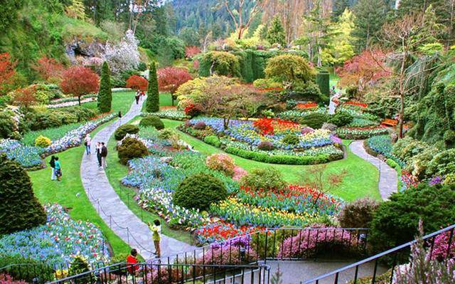 世界最唯美的五大花园,留着以后拍婚纱照!不去,会后悔_手机搜狐网