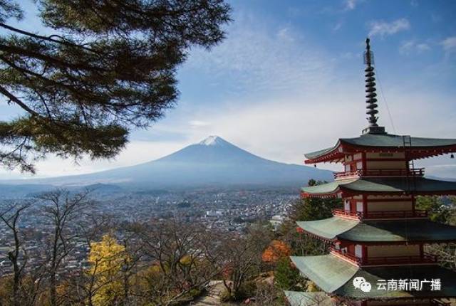 最新护照办理攻略!省内户籍带上身份证就可在