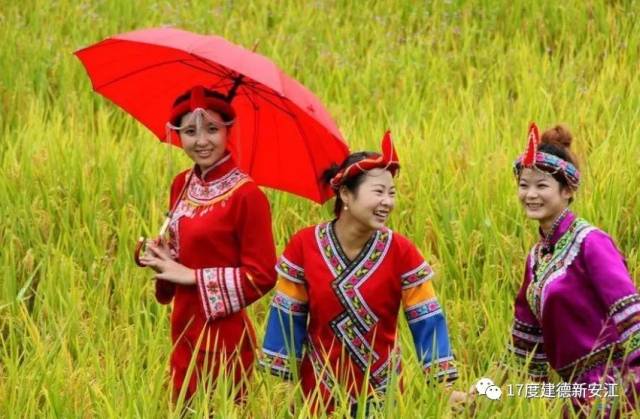 建德兰花文化旅游节vs畲族民俗文化节,速来围