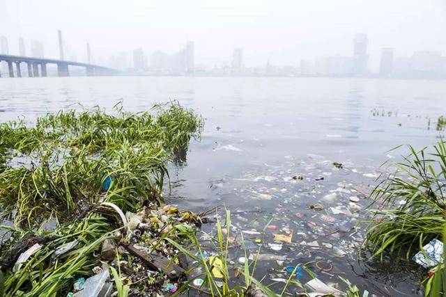 是什么让河流变成垃圾桶?"河流守望者"们坐不住了…_手机搜狐网