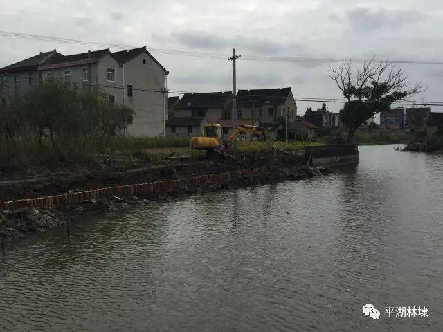 你知道嗎?林埭又有一處美麗鄉村正在華麗蝶變