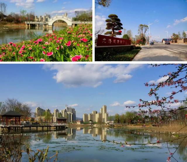 错过再等一年,奔跑吧,龙港!开始报名啦!