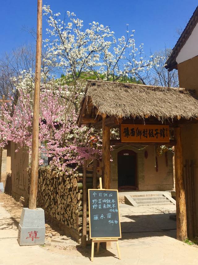 有一方小院,几处篱笆,梨花树下品茗,读书,不闻世事