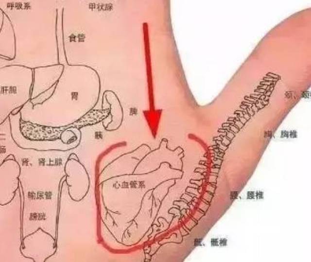 赶紧收藏好