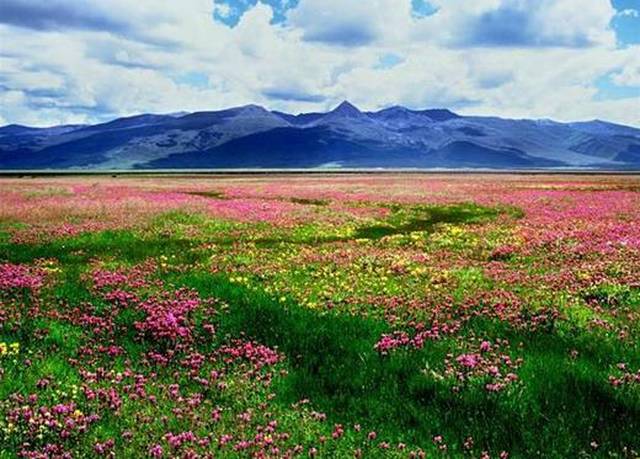 女孩子花点钱怎么了!抖音上这些点赞过百万的