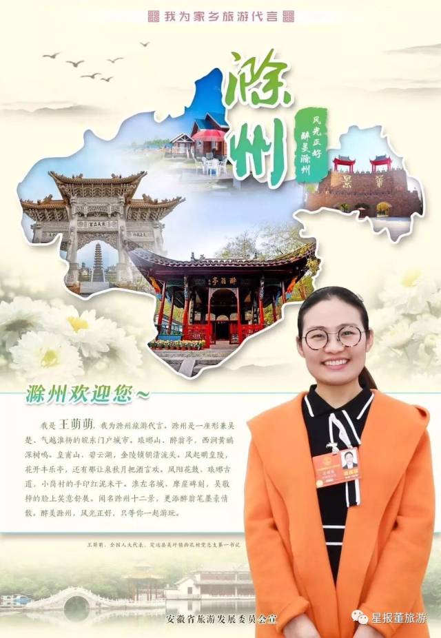 王萌萌人大代表图片