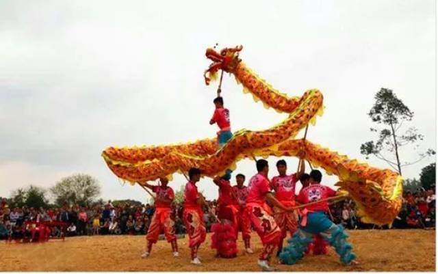 采蓝莓,唱歌圩,品民俗,"三月三"花乡横县嗨翻了