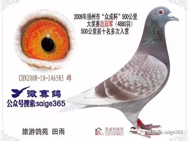 扬州婚介行业发展现状与趋势