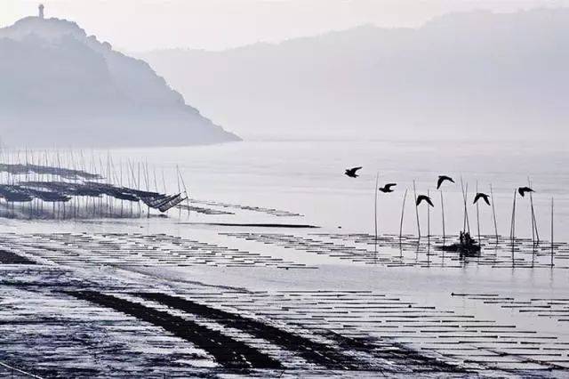 玉环大龙湾村:沿海最南端的秀丽村庄,光凭想象就觉得诗意!