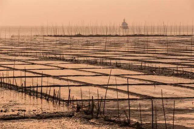 玉环大龙湾村:沿海最南端的秀丽村庄,光凭想象就觉得诗意!_手机搜狐网