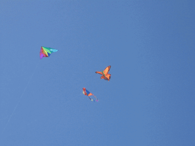 周末去花坞看什邡最长风筝放飞,错过后悔一年!