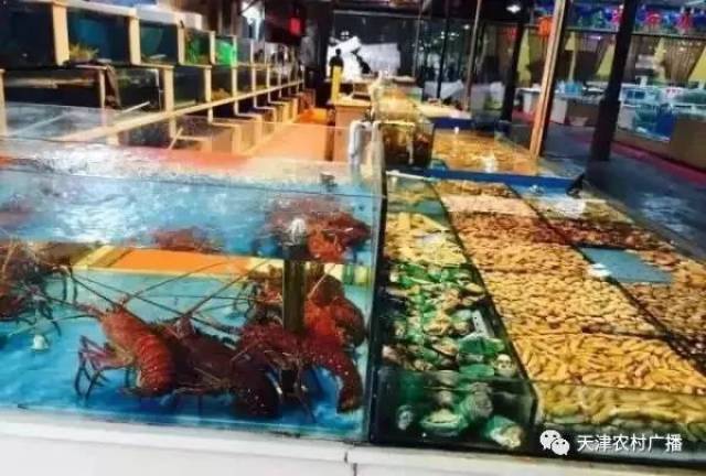 天津海鲜批发