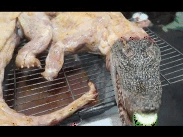 其实也有这样的:你印象里的烧烤是这样的:比如说咱中国,其实也是这样