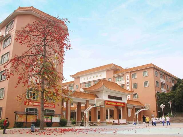 容山中学建校210周年!全体容山人,还记得那红棉花开的青春岁月吗!