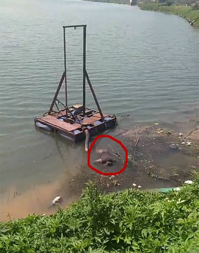 自贡富顺工业园区发现一具男性浮尸.