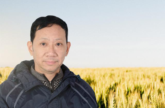 4,稻稗:叶片线形,粗糙,边缘有微小的刺毛,常于叶枕处有髯毛,叶鞘上方