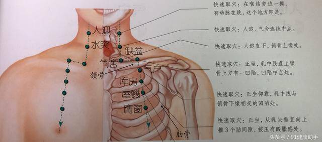 穴位養生|咽喉腫痛,氣喘,打嗝不止按氣舍,宣肺定喘,理氣散結