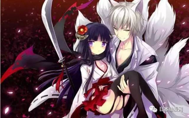 双炽 186cm 凛凛蝶 145cm 相差41cm