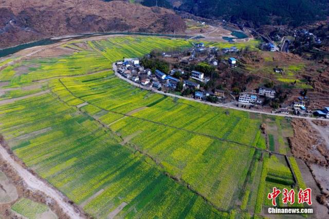 航拍广元市青川县竹园镇东坝村,重建的房屋掩映在青山之间 唐忠涛 摄