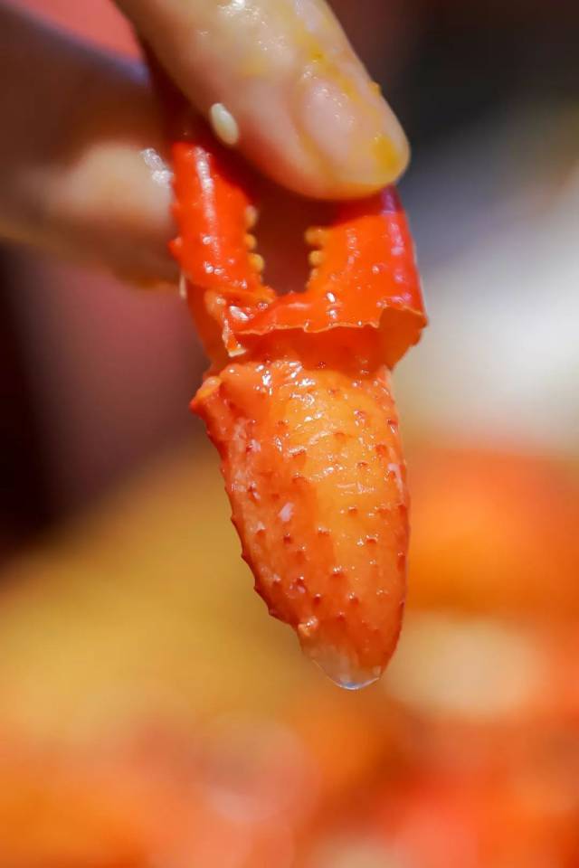 平时吃小龙虾的时候都直接把钳子扔掉,在这里会舍不得!