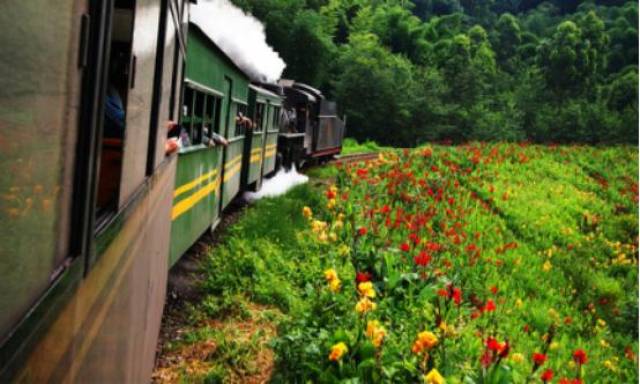 声,坐在古老的蒸汽小火车里,在崇山峻岭的绿色山野中感受穿越的美好!