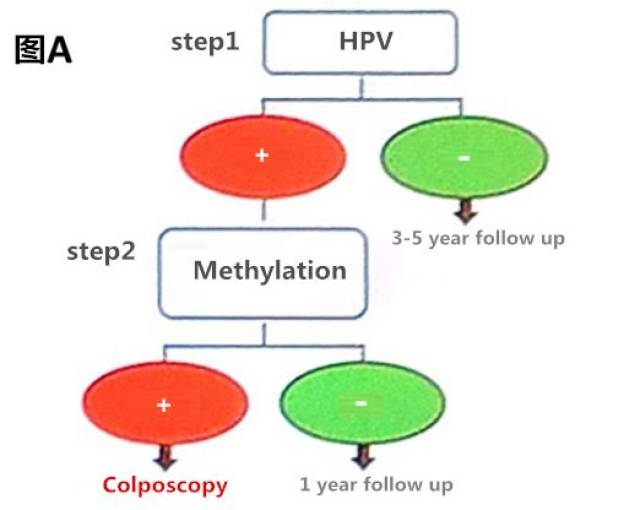 预防宫颈癌,从抑癌基因PAX1甲基化说起