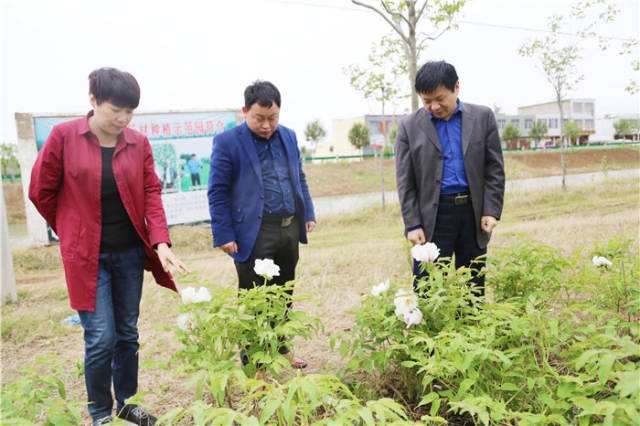 太和县倪邱镇党委副书记,镇长李英明,副镇长王之勤一行与媒体记者一同