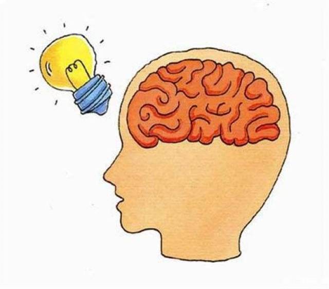 给宝宝补脑等于给宝宝"补运", 深海两种生物促进智力发育