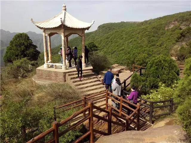 洛阳黛眉山高山牡丹花正艳,姹紫嫣红等你来