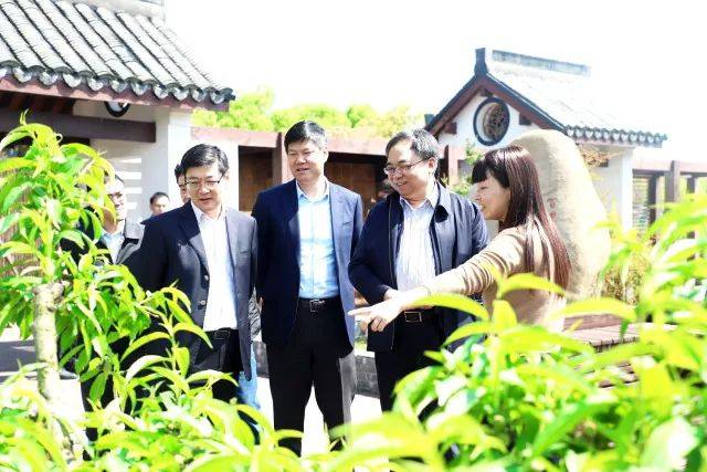 市委办公厅副主任姜南调研吕巷水果公园