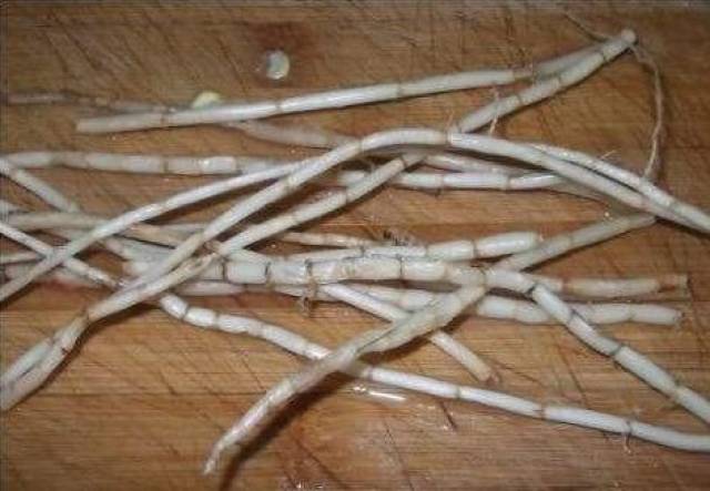 农村这根草,无论是70后还是80后都吃过,是小时候最天然的零食