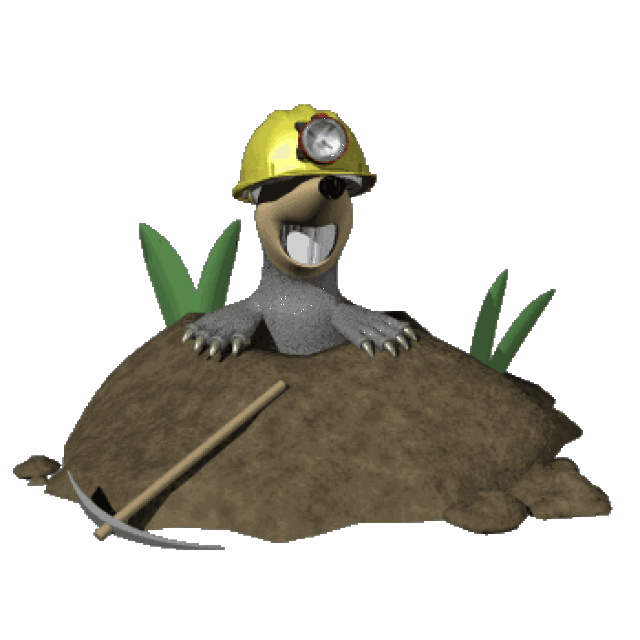 鼹鼠 a mole is   small animal with black fur that lives