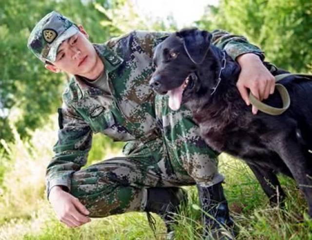 当年演过《手机》电视剧的于文海,也是《神犬奇兵》里面严厉冷酷的