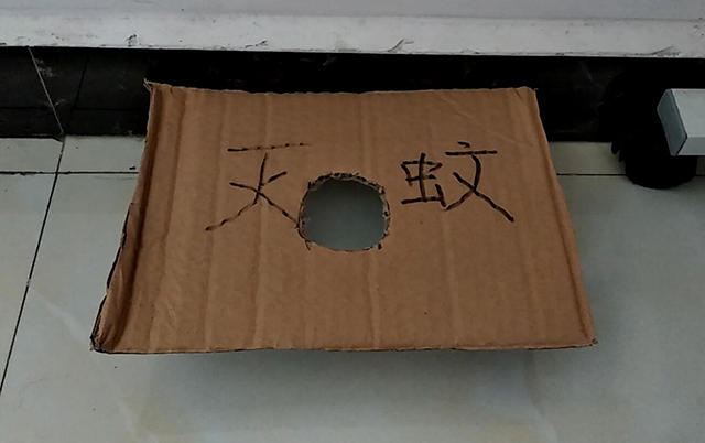 奶奶教我一个灭蚊土方法,家里蚊子全拜拜!
