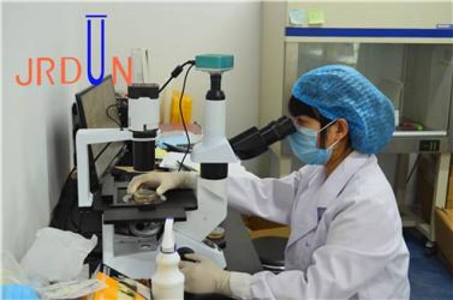生物实验外包市场的风云变幻