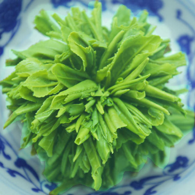 茶叶有多少种形状每一种形状都是如何制成的