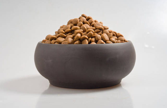 猫可以吃生肉补血吗,猫吃生肉能补血吗